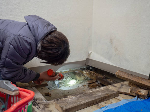 Best Post-Construction Mold Inspection  in Cos Co, CT